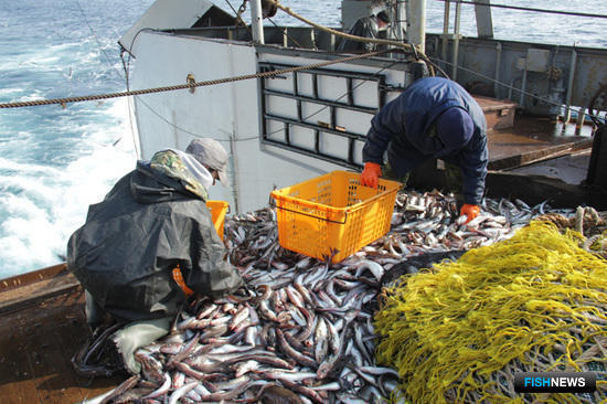 Конкретику по новому закону о рыболовстве придется подождать
