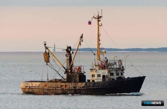 В Крыму под флагом РФ – 38 рыбацких судов