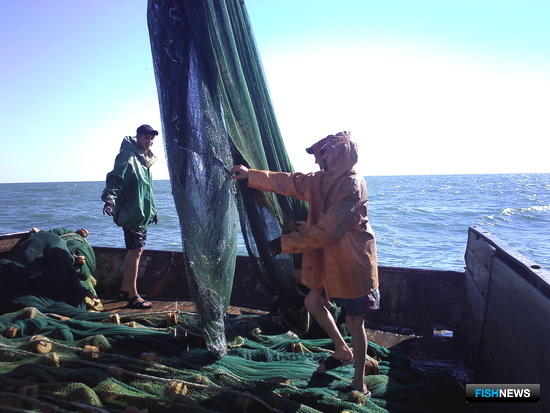 Ученые проверили запасы Азовского моря