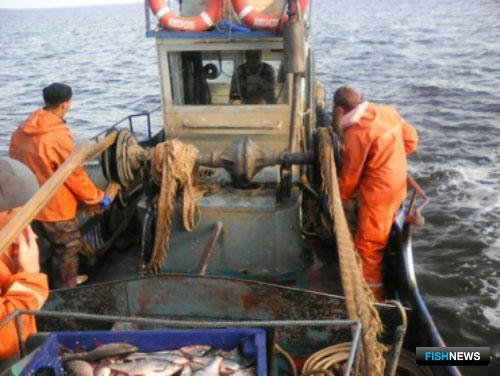 Псковские рыбаки подсчитывают уловы на трансграничном озере