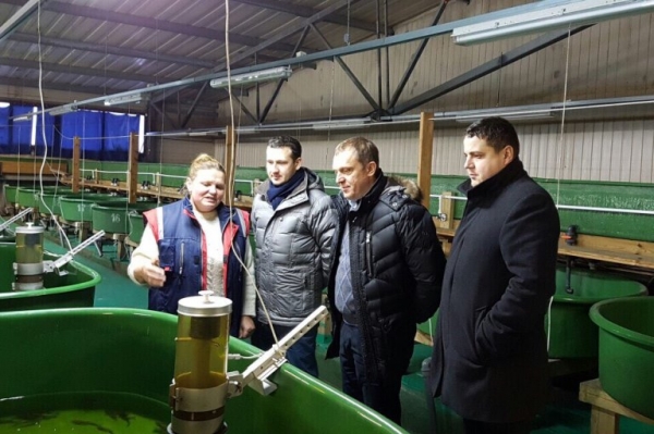 
			Виктор Ашарин посетил рыбоводные предприятия Ленинградской области		