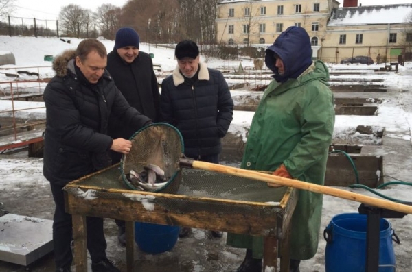 
			Виктор Ашарин посетил рыбоводные предприятия Ленинградской области		