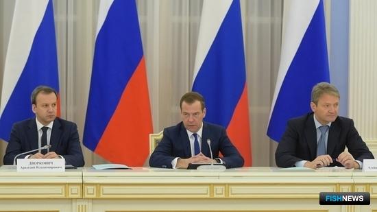 Дмитрий Медведев раздал ведомствам задания по аквакультуре