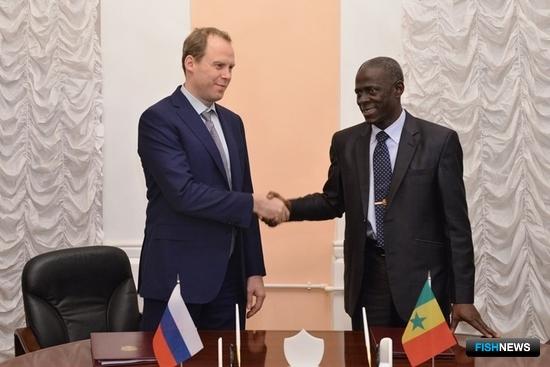 Россия разработает программу оценки запасов в водах Сенегала