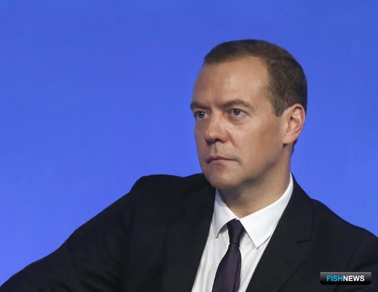 Дмитрий Медведев раздал задания по «рыбным» поручениям президента