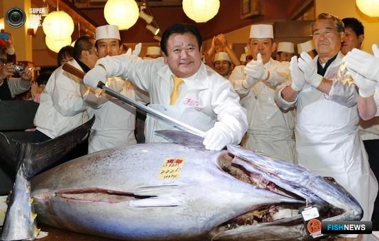 Знаменитый рыбный рынок Токио переезжает