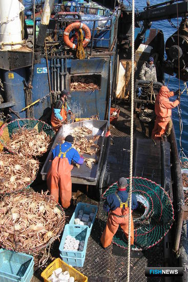 Корея собирается ужесточить требования к ввозимой рыбе и морепродуктам