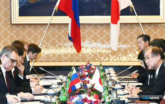 Россия и Япония ищут пути сотрудничества по Курилам