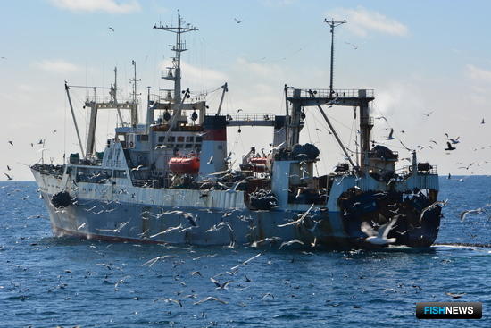 Рыбаки Камчатки поймали в Охотском море более 200 тыс. тонн минтая