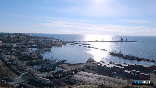 В порту Корсаков создадут структуру для электронной торговли ВБР