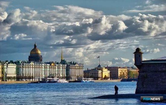 Китай ждут на форуме в Санкт-Петербурге
