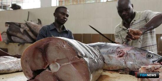 Кения стимулирует рыбопереработку радикальными мерами