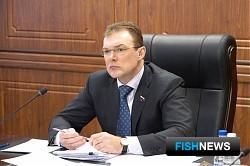 Власти Камчатки собираются решить вопрос рыбных свалок