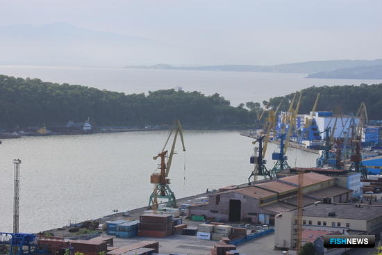 Управлять свободным портом станут все пять регионов