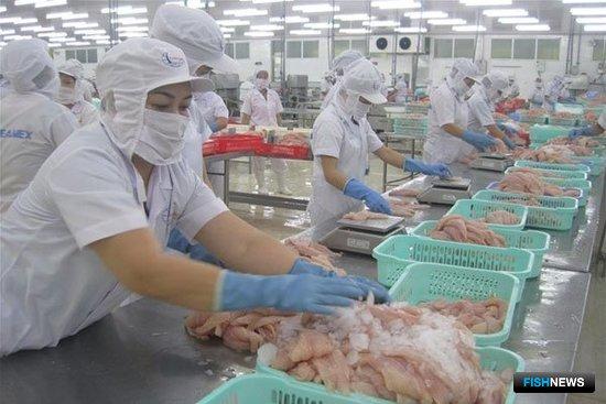 Вьетнамские экспортеры намерены защитить репутацию пангасиуса