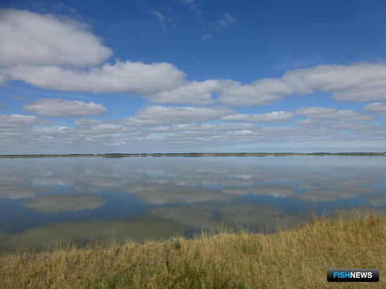 Уникальное озеро в Новосибирской области отбили от браконьеров