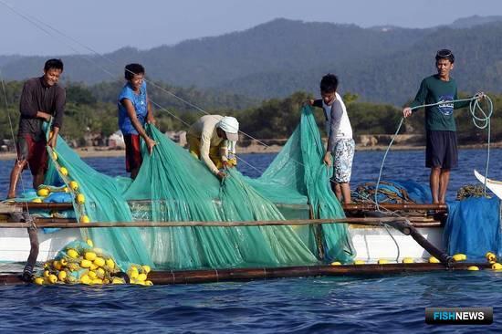 Исход мигрантов ударил по рыбной отрасли Таиланда