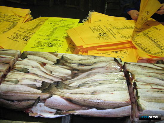 Дальний Восток увеличил поставки рыбы на внешний рынок