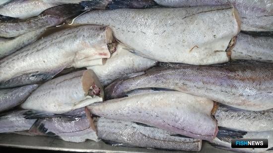 Экспорт рыбы пошел в рост