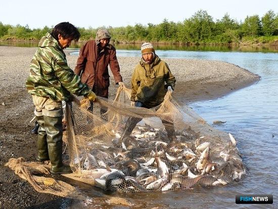 Чукотских КМНС хотят перевести на любительскую рыбалку