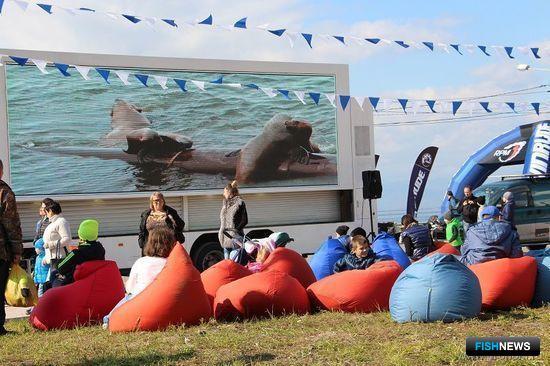 Камчатский фестиваль «Море жизни» стал ежегодным