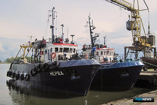 Калининградская область займется обновлением рыбацкого флота