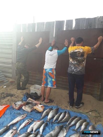Бизнес на ценной рыбе «прикрыли» сахалинские пограничники