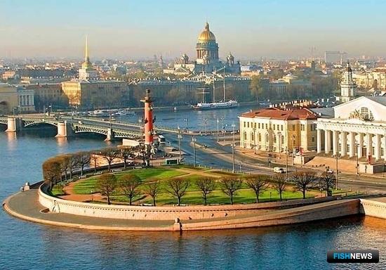 Предприятия Камчатки готовятся к форуму и выставке в Санкт-Петербурге