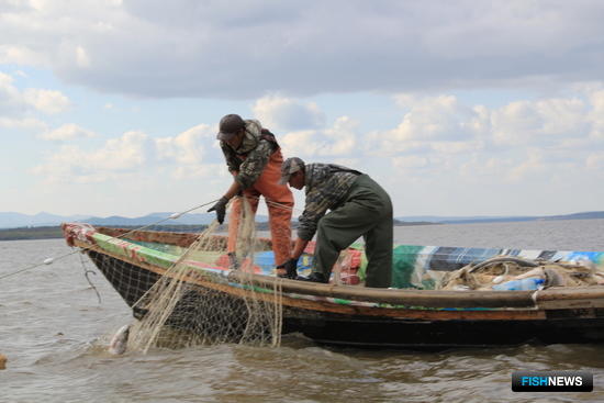 Ученые предложат современные технологии промысла лососей на Амуре