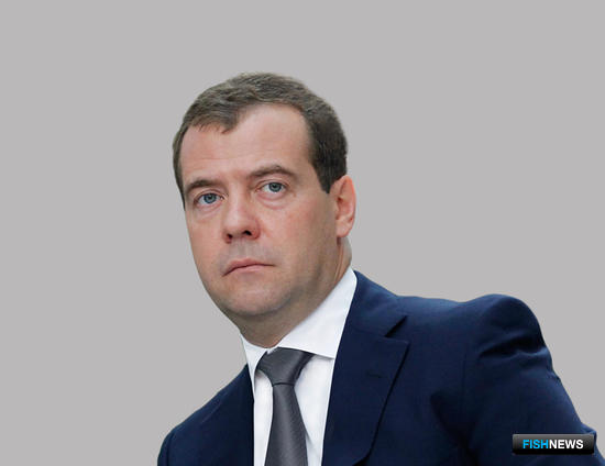 Дмитрий Медведев собирается обсудить на Сахалине рыбопереработку