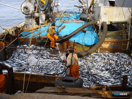 Рыбаки просят дать больше времени по опломбировке ТСК
