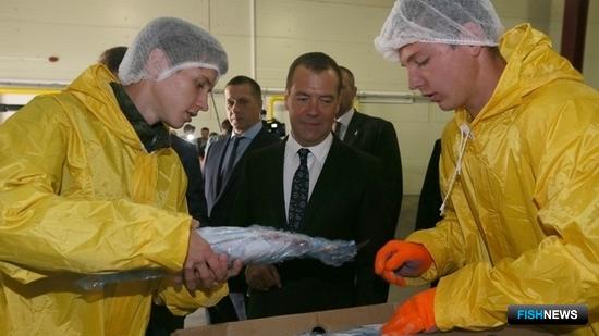 Про рыбу с Дмитрием Медведевым