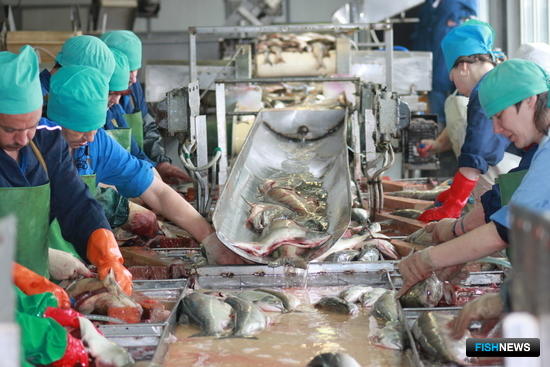 ТОР «Камчатка» разрастется за счет рыбных проектов
