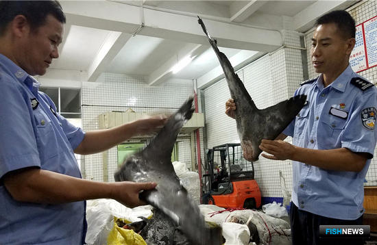 В Китае перехватили крупную партию рыбной контрабанды
