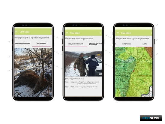 Узнать браконьеров Приморья поможет мобильное приложение