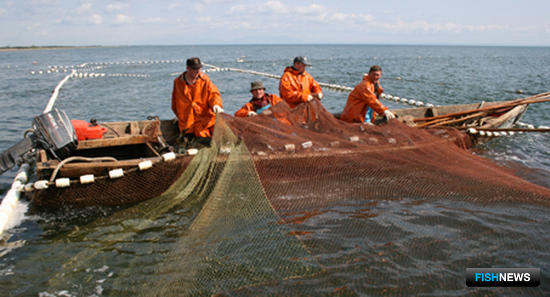Сахалинский лосось – в центре внимания