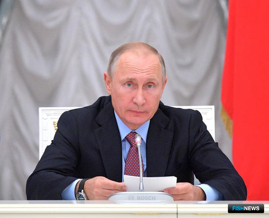 Владимир Путин поторопил с законом о неналоговых платежах