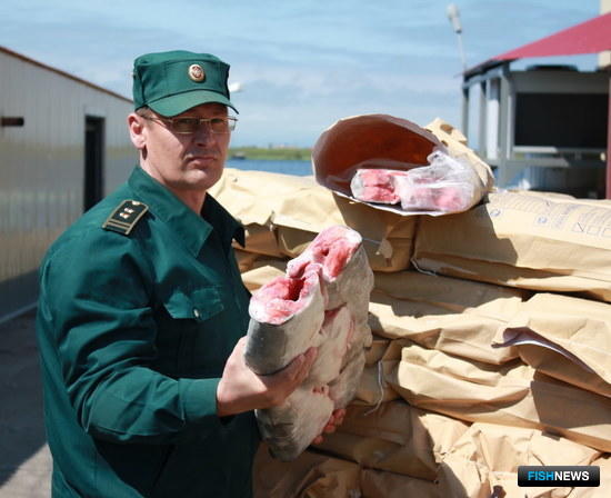За путину Камчатка экспортировала 17 тыс. тонн лосося