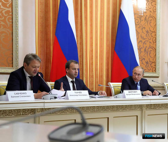 Александр Ткачев рассказал президенту о пользе электронной сертификации