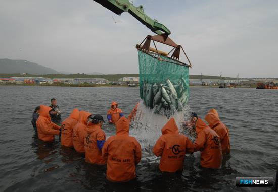 Рыбные богатства Камчатки продемонстрирует в Циндао «Витязь-Авто»