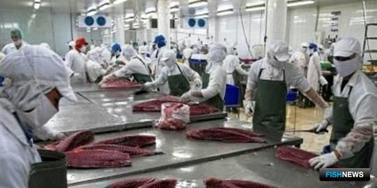 Европа может отказаться от вьетнамских морепродуктов