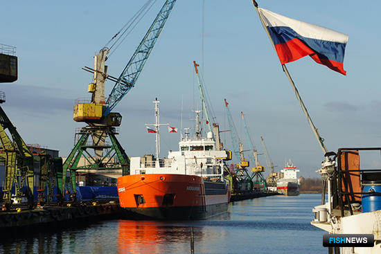 Калининградский рыбный порт вольется в состав «Нацрыбресурса»