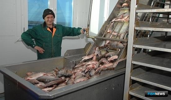 Рыбаков Ямала вновь поддержат из окружного бюджета