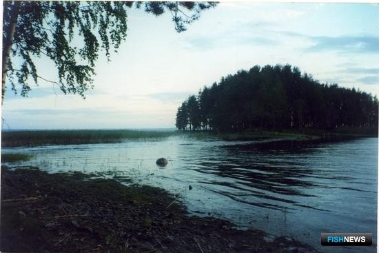 Озера Карелии ждут рыбных садков