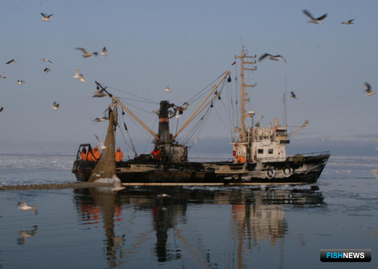 Отечественные рыбаки удерживают прибавку в 2,5%