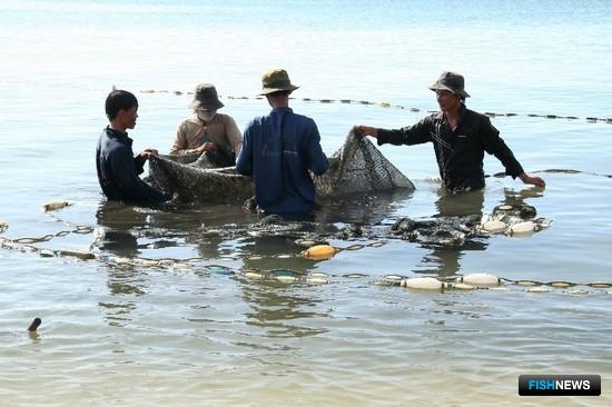 Вьетнам серьезно изменил «рыбное» законодательство