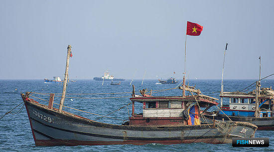 Вьетнам серьезно изменил «рыбное» законодательство