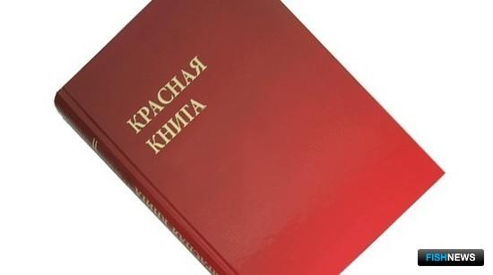 Споры по Красной книге не устраивают депутатов