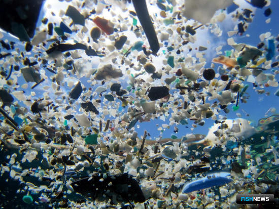 ЕС собирается избавить моря от своего пластика