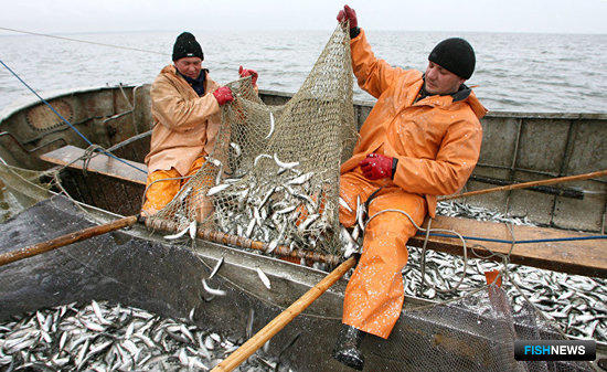 Западный бассейн получил поправки по рыбному промыслу
